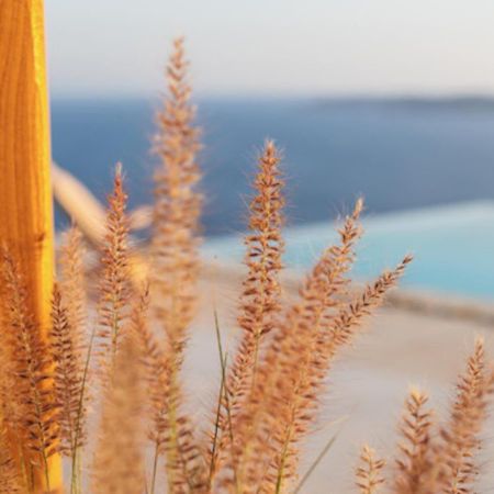 Birdhouse Private Luxury Suite Agios Ioannis Diakoftis Εξωτερικό φωτογραφία